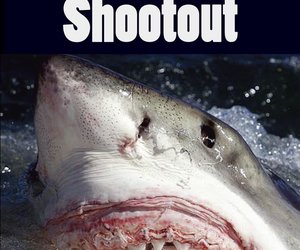 New Novel from Local Author